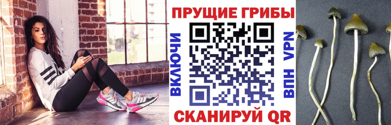 Галлюциногенные грибы Psilocybe  hydra зеркало  Старый Крым 